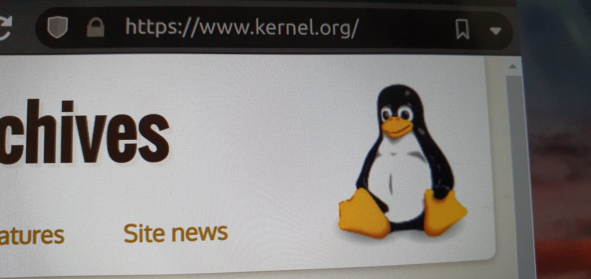 How learning Linux makes you a better programmer